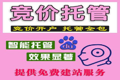 百度竞价包年策略：成功案例解析与经验分享